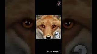 ASKTRIO 516 ULTIMATE FOX SIMULATOR 2