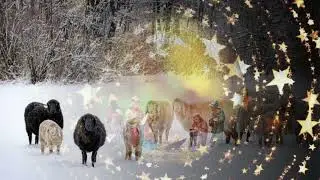 Predigt Weihnachten '24  