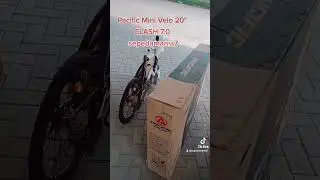 PACIFIC MINI VELO 20 CLASH 7.0 mantap