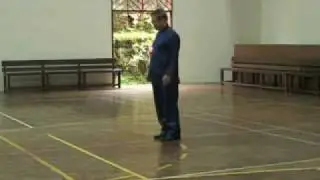Shaolin Internal Force Training 1