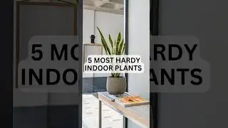 5 Most Hardy Indoor Plants #shorts #indoorplants