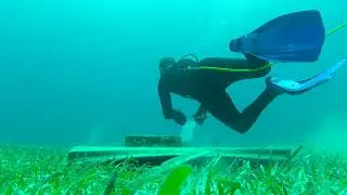 BEHIND THE SCENES BAHAMIAN LOBSTER FISHERMAN REPAIRING HABITAT UNDERWATER