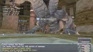 Nyzul Isle Floor 80 Fight
