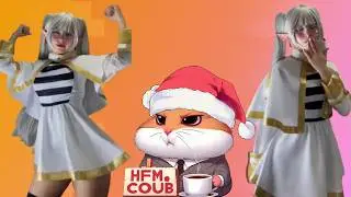 HFM COUB BEST CUBE Coub Приколы 2026 entertainment show, video collection from all over the world