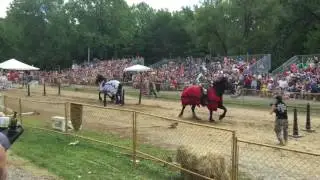 Full Metal Jousting