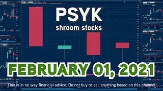 $PSYK Shroom stocks Feb 01 2021