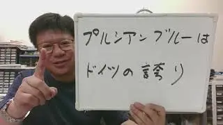 【限定セール、残り2日】ギナーン・スチールブルーの価値とは？