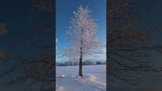 New Years Day sunset & Hoarfrost (2)