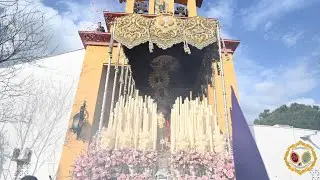 INCREÍBLE SALIDA DE LA VIRGEN DEL AMOR DE PINO MONTANO | Viernes de Dolores 2025