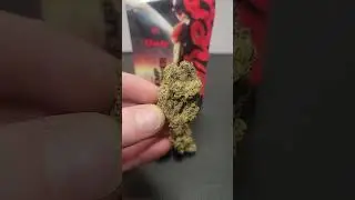 Aretes Chronic Strain Sneak Peak