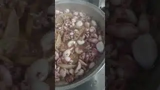 baby squid stir fry