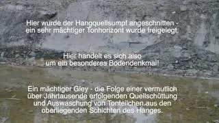 Das P&uuml;tzfeld Hangmoor im Ahrtal - ein Fall zur Wiederherstellung