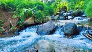 River Water Sounds for Deep Relaxation