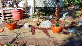 Creating a Small Dry-scape in the Yard