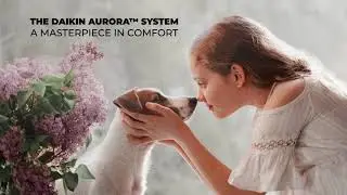 Best Ductless Heat Pump for Minneapolis Minnesota Winter &ndash; Cold Climate - Blue Ox Heating and Air