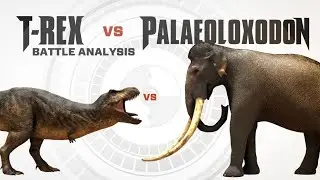 Palaeoloxodon vs Tyrannosaurus Rex | Goji Center's Monster Face-Off (2023) 🦖⚔️🐘