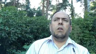 عند المورمون