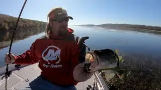 My FAVORITE New Flipping Bait for Bass Fishing