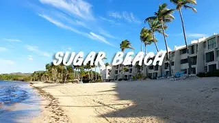 Staying at Sugar Beach in St. Croix, USVI (Tour of the condo we rented)