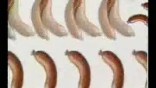 Stephan Remmler - Alles hat ein Ende nur die Wurst hat zwei