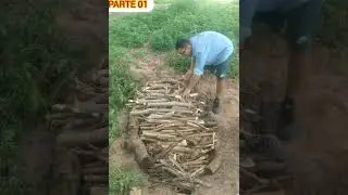 FAZENDO CARVAO NA CAIEIRA PARTE 01