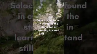 #quotes #solace #peace #shorts