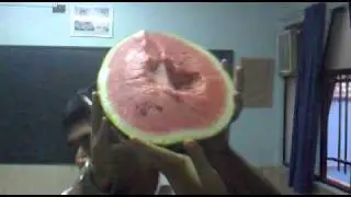 hendoone hendoone bokhor va bebar be shart chagho.mp4