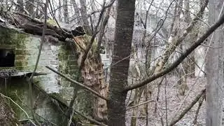 Snowless winter 2020