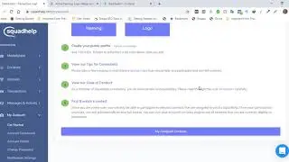 Walkthrough of The Squadhelp Platform