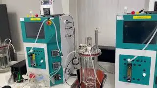 Bioprocess at Isomerase