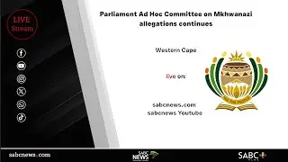 Parliament Ad Hoc Committee on Mkhwanazi allegations hears testimonies from witnesses
