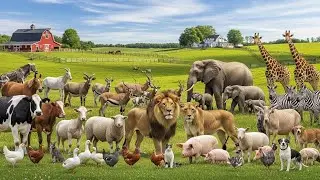 Cute Farm Animals Elephant, Horse, Sheep, Monkey, Duck, Cat, Puppy, Rabbit, Goat  Animal Video