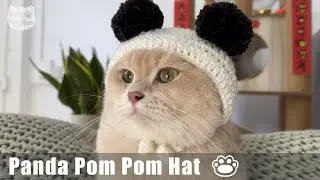 How to Crochet Panda Pom Pom Hat for your Cat II Step by Step Tutotial