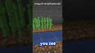 how to become the richest player