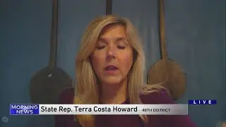 Rep Terra Costa Howard calls for Madigan resignation