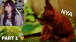 Pawfessor Misa's Nyadventure | Stray - Part 1