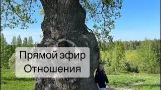 24 мая 2023 г.