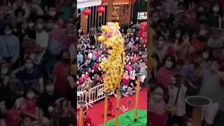 Kong Ha Hong Lion Dance Acrobatics @Living World Alam Sutera, Indonesia