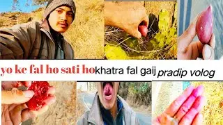 Jangali dragon fruit gaij fast volog 