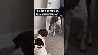 A Silent Conversation You Might Be Missing