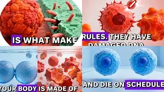 What are Cancer cells| Tumor | CellBiology | Cancer Cells | Uncontrolled Cell Division #cancer #cell