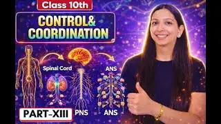 Control & Coordination | Spinal Cord, PNS & ANS | Class 10 Biology | One Shot | NCERT Covered