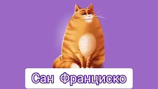 Котовасия Башни Слов