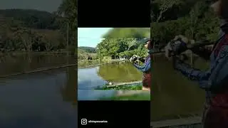 Estreia da new pampo deu bom!