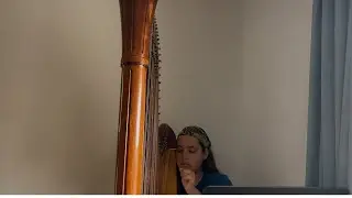 Flightless Bird, American Mouth by Iron and Wine- Harp