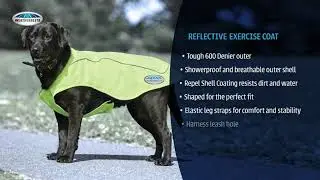 Reflective Exercise Dog Coat | WeatherBeeta AU