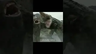 Kong vs Skullcrawler, #epicfightscene #shortmovie