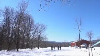 Maple Beer Trail (Preview) | Field Trip