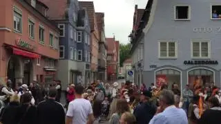 Wallenstein 2016 Pikeniere marschieren
