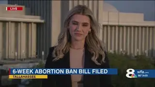 Republican lawmakers seek to reduce abortion ban from 15 weeks to 6 weeks